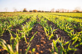 Tamil Nadu Agriculture